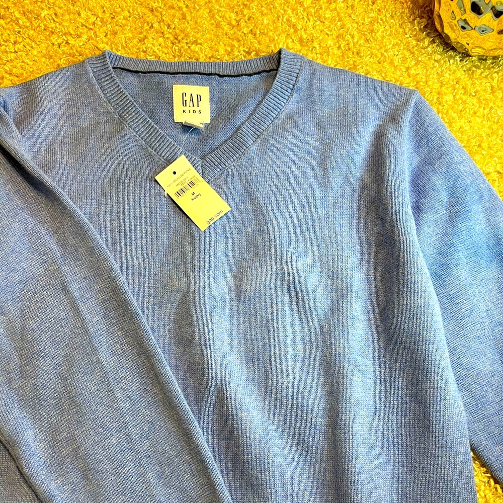 Baby blue gap sweater